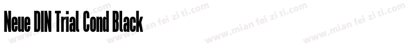 Neue DIN Trial Cond Black字体转换